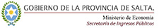 Gobierno de Salta